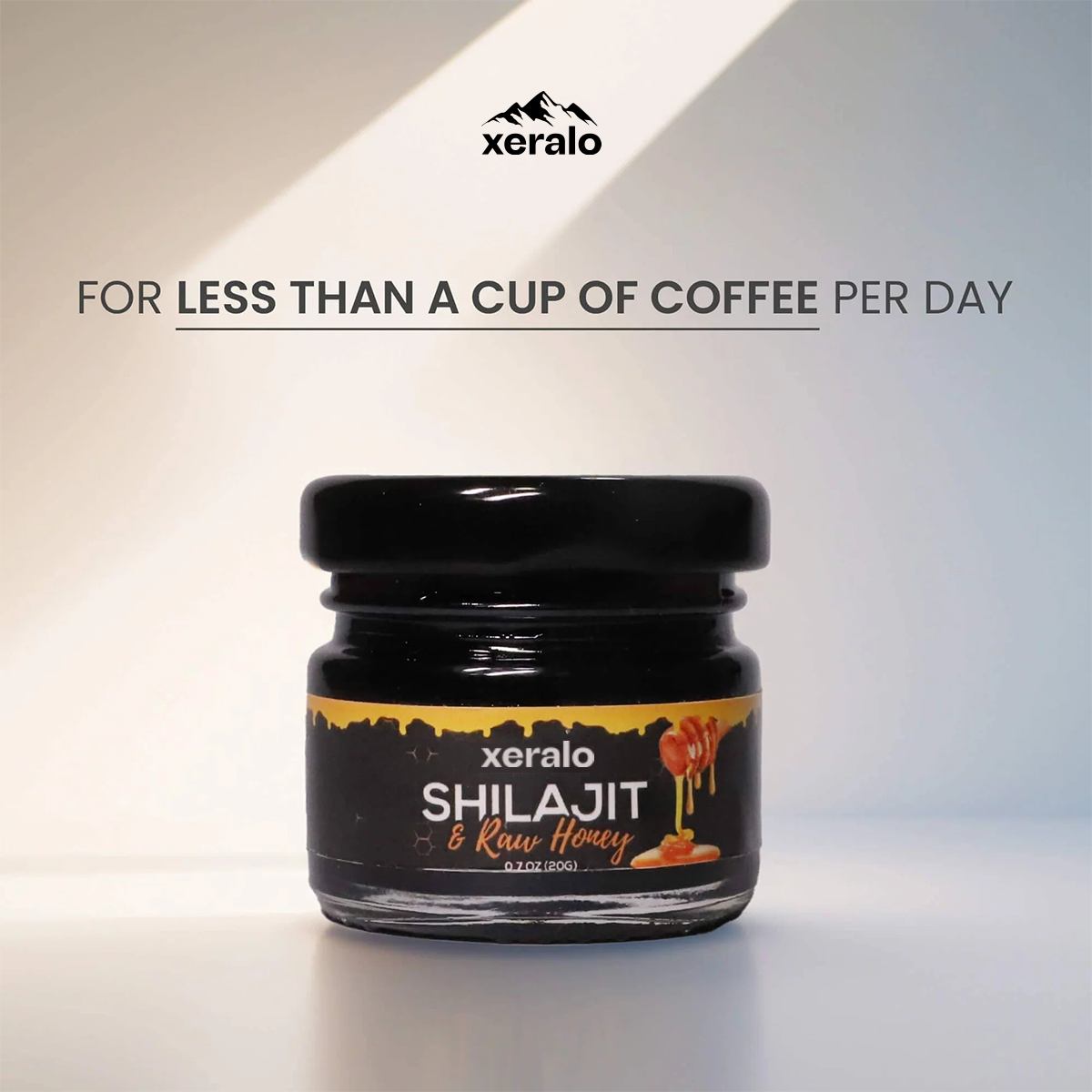 Raw Honey Shilajit Resin - More Than Just Sweet