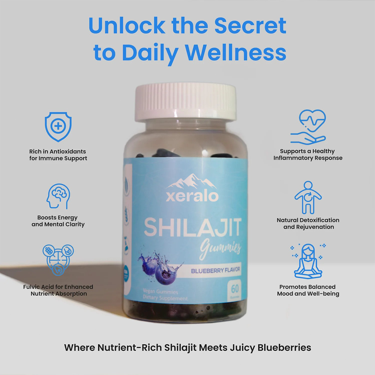 Blueberry Shilajit - 60 Vegan Gummies